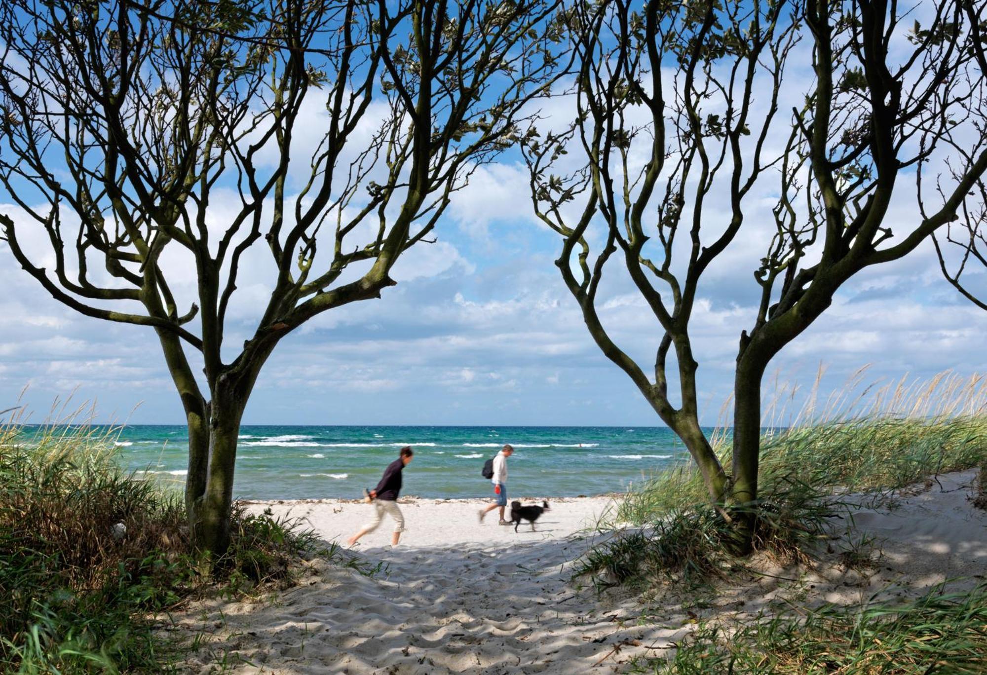 Reihenhaeuser Timmendorf Strand Haus Sonnenaufgang 인젤 포엘 외부 사진